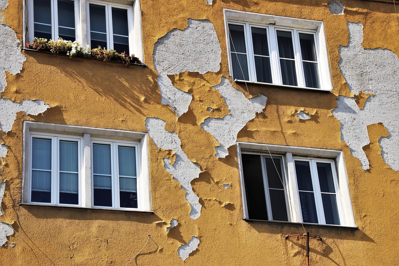 Mérule envahissante : Comment savoir si votre maison en est victime ?