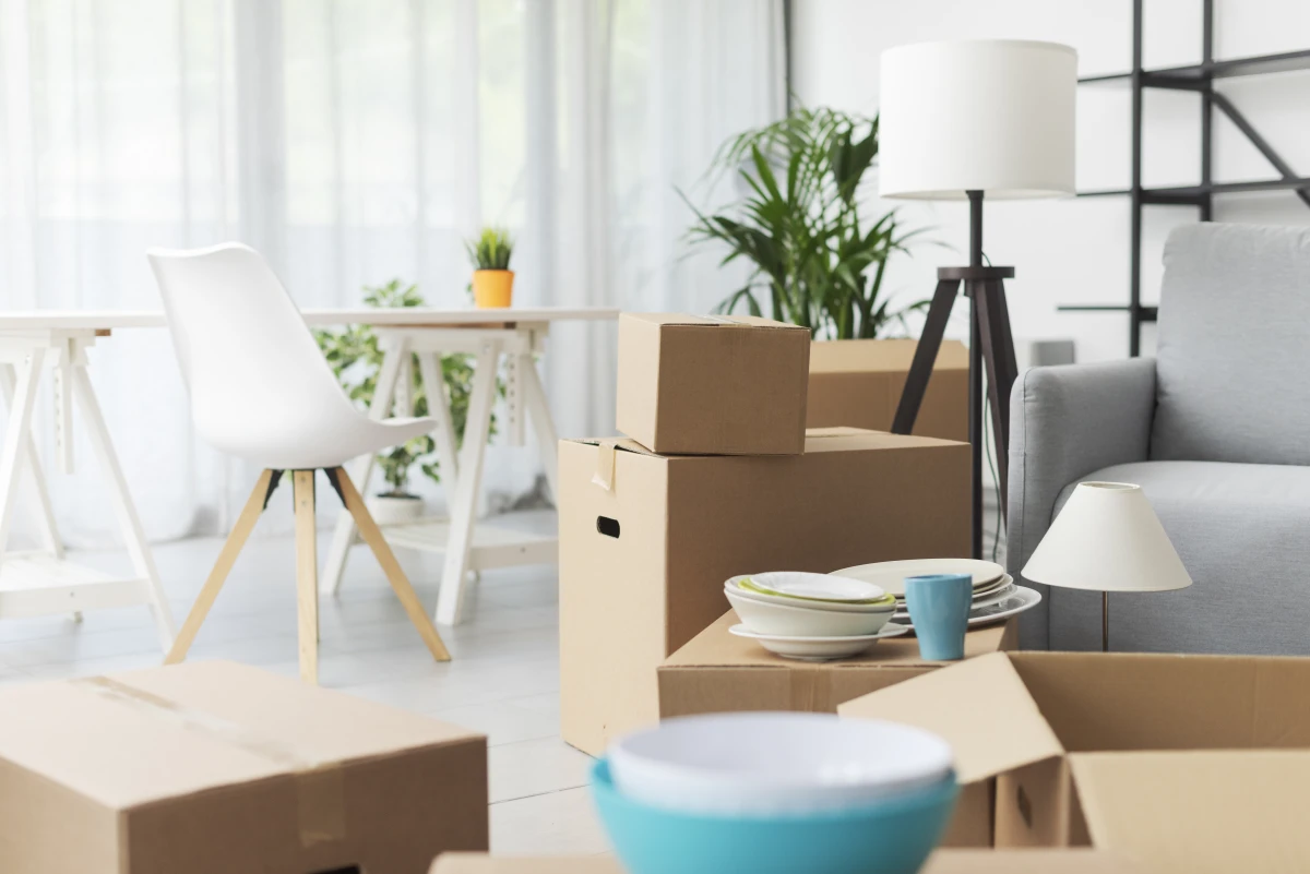 Boom immobilier : Comment les infrastructures façonnent l'avenir de nos villes